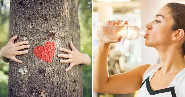 🌳 Are You a Tree Hugger or Planet Polluter?