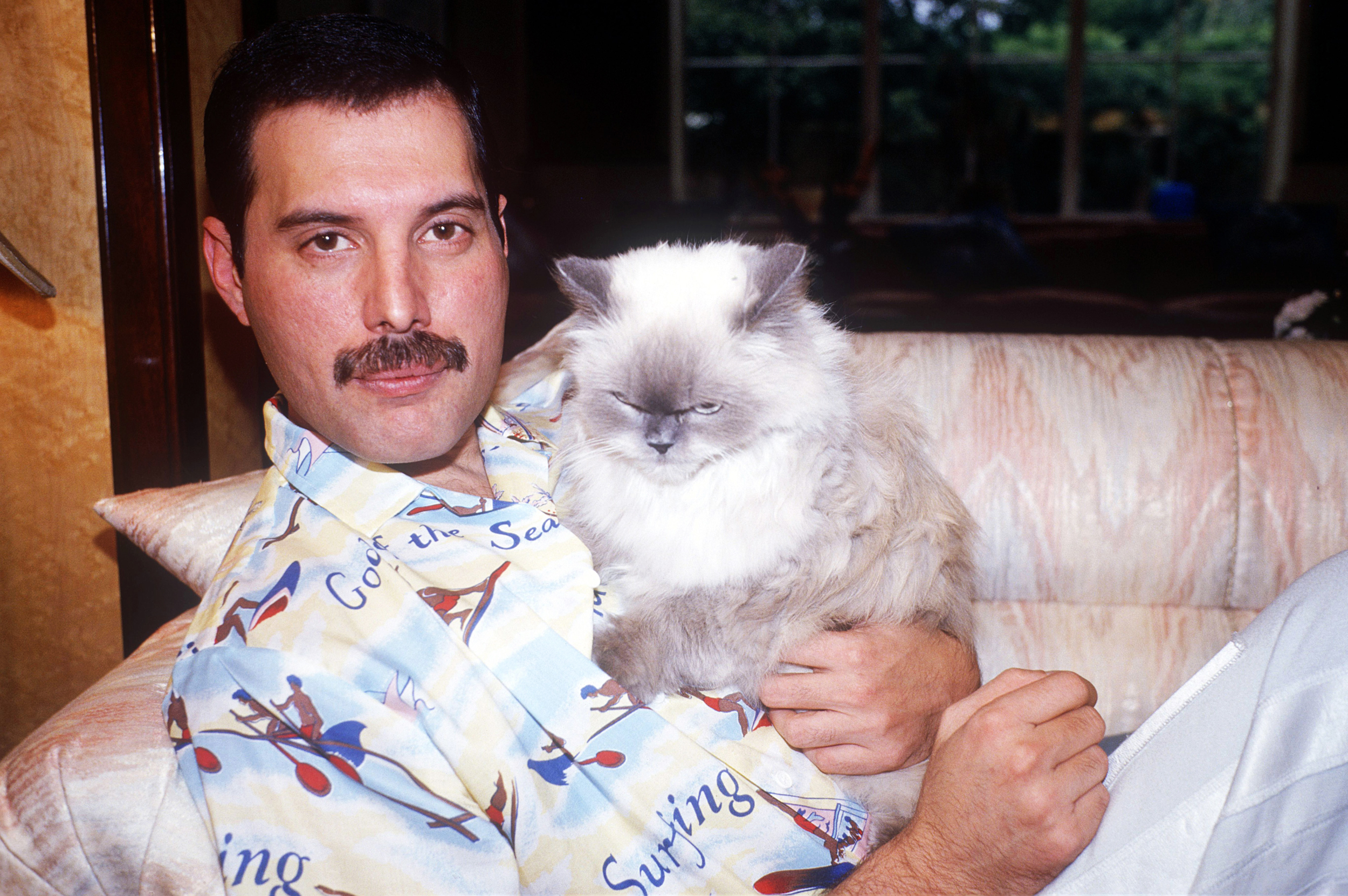 What 1980s Stereotype Are You? Freddie Mercury with cat