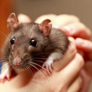 What 1980s Stereotype Are You? Quiz Rat