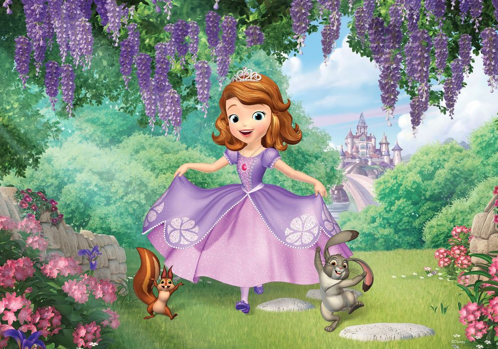 👶 This “Yes or No” Quiz Will Reveal If You Have Young Kids Disney Princess Sofia