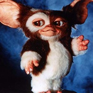 We’ll Reveal Your Personality Type Based on the Way You Think Gizmo from the Gremlins