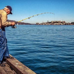Design Your Vacation & I'll Give You Destination To ️ T… Quiz Fishing