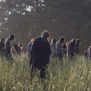 💀 How Long Would You Survive in “The Walking Dead”? A walker
