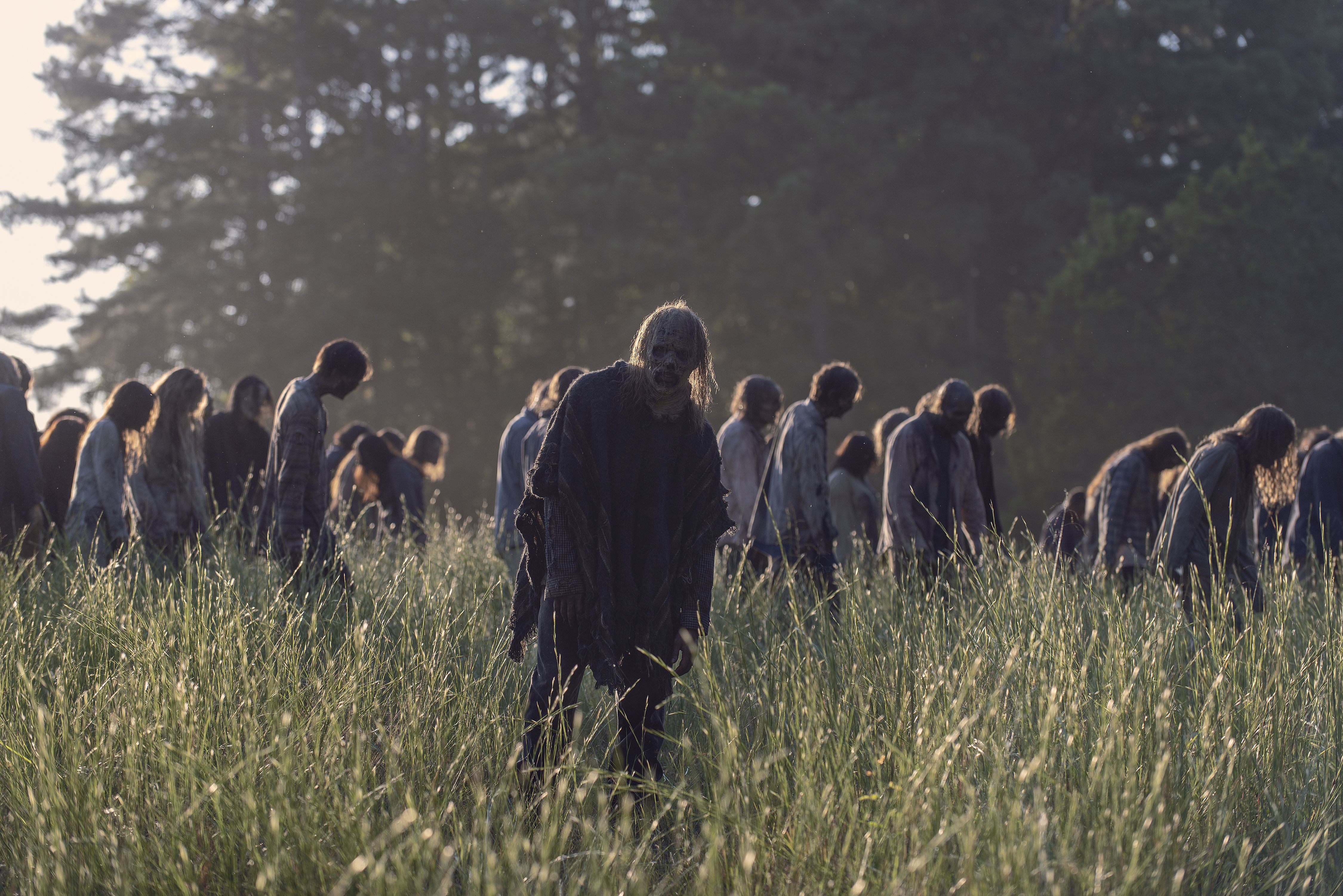 💀 How Well Do You Know “The Walking Dead”? Quiz The Walking Dead