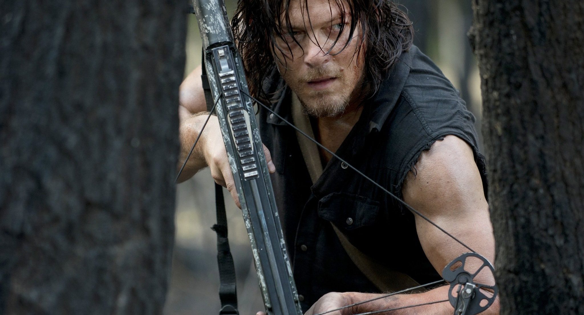 Daryl Dixon, The Walking Dead