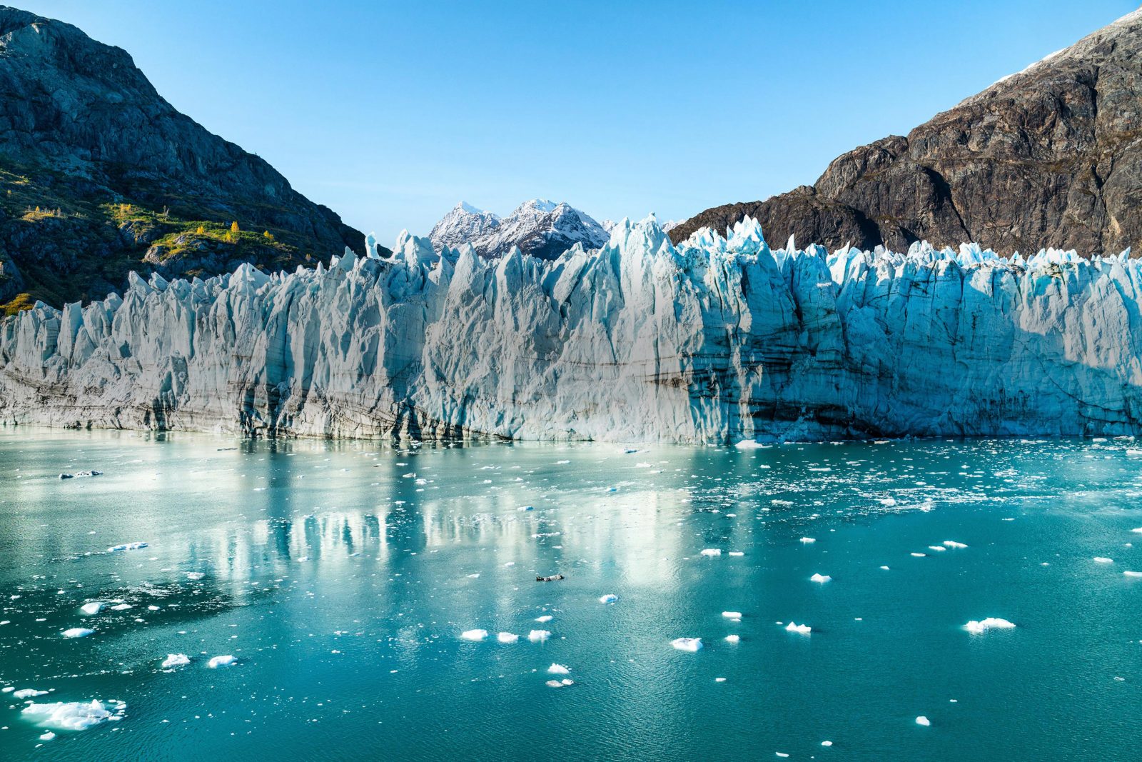 Can You Score Better Than 80% On This U.S. Presidents Quiz? Glacier Bay National Park, Alaska