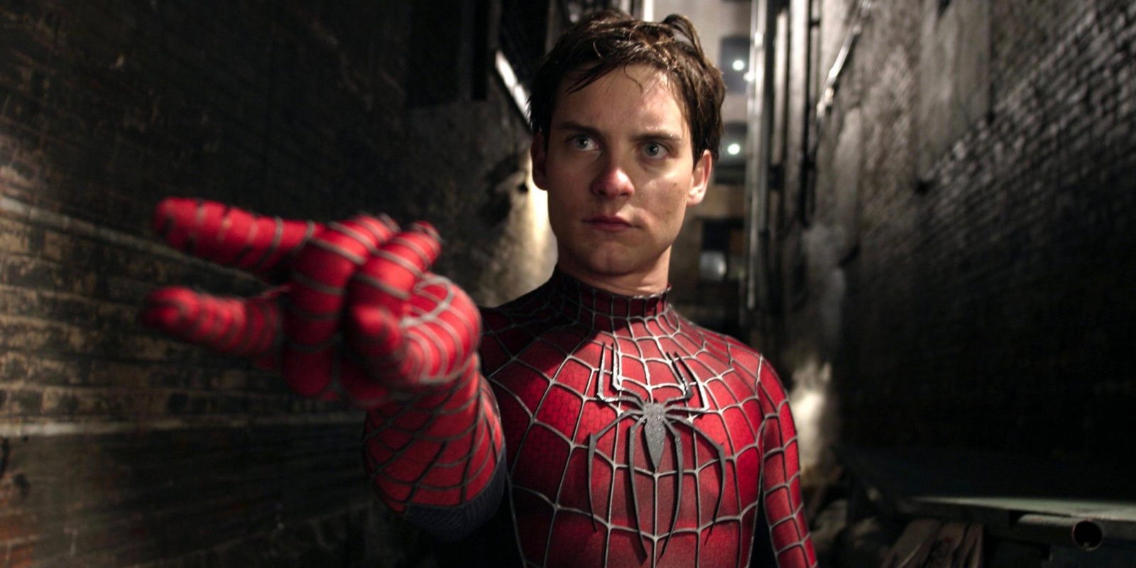 You got: Tobey Maguire's Spider-Man! Which Spider-Man Are You?🕷️