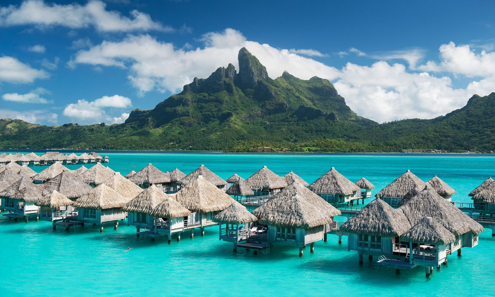 You’ll Pass This General Knowledge Quiz Only If You Know a Lot Tahiti