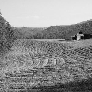 Could You Survive the 1800s? Take This Quiz to Find Out Rural area