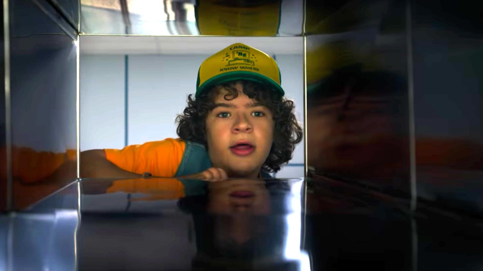 Not Even Eleven Can Pass This “Stranger Things” Season 3 Quiz — Can You? Dustin 1 1