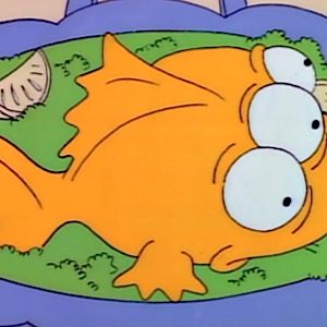 Simpsons Quiz 3-eyed fish