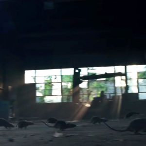 Which “Stranger Things 3” Character Are You? Brimborn Steel Works