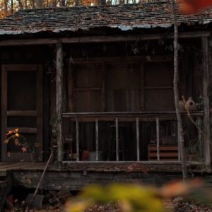 Spend a Day in Hawkins and We’ll Reveal Your Fate in “Stranger Things” A cabin in the woods