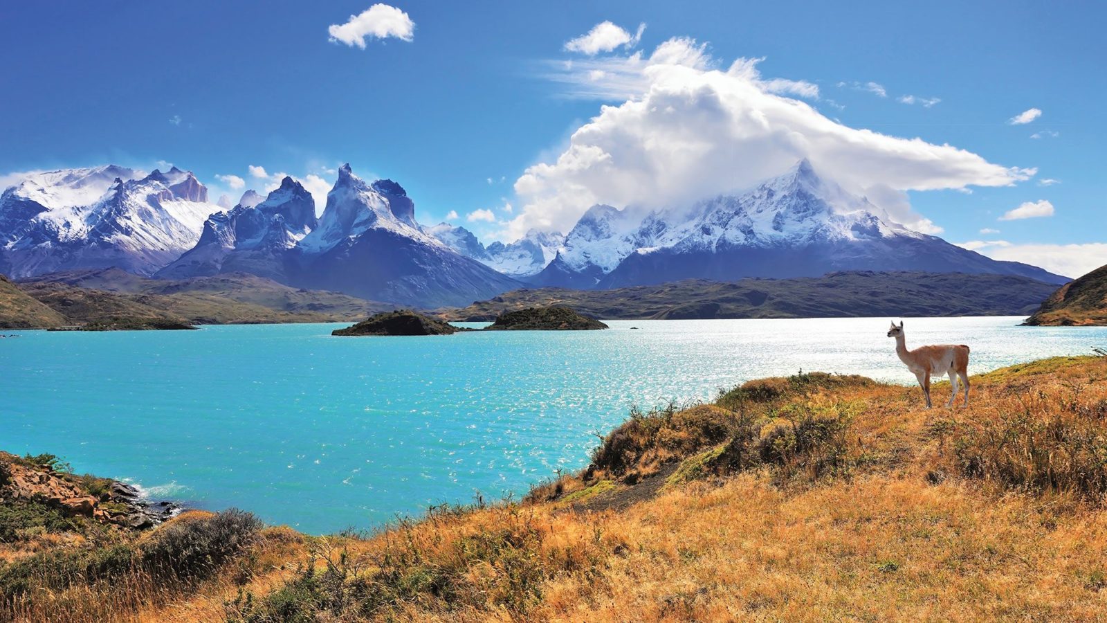 This Trivia Quiz Is Not THAT Hard, But Can You Pass It? Chile