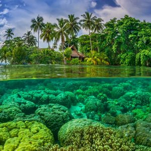 This Travel Quiz Is Scientifically Designed to Determine the Time Period You Belong in Solomon Islands