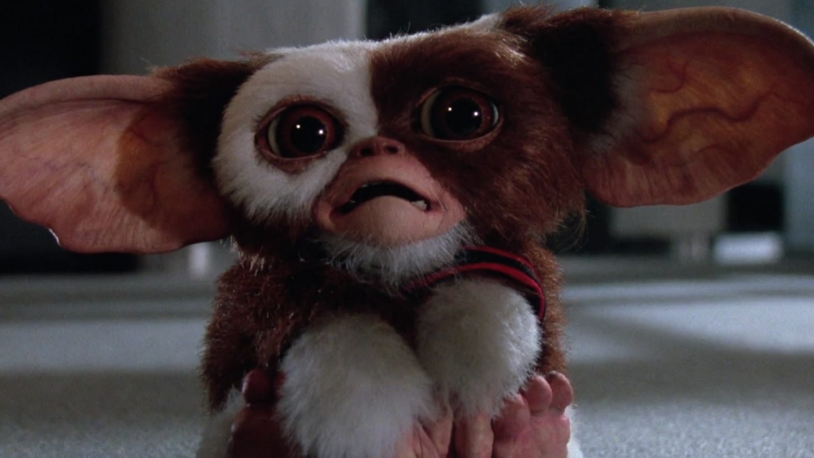 Sorry, But If You Weren’t Around During the ’80s You’re Going to Fail This Quiz Steven Spielberg Saved Gizmo From Becoming A Villain In Gremlins Social