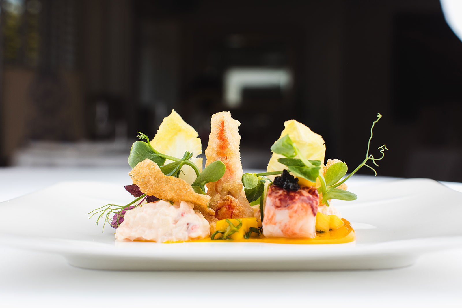 🍽 Eat a Fancy Meal and We’ll Tell You How Grown-Up You Are Sous Vide Lobster Salad With Mango Salsa And Lobster Tempura Appetizer