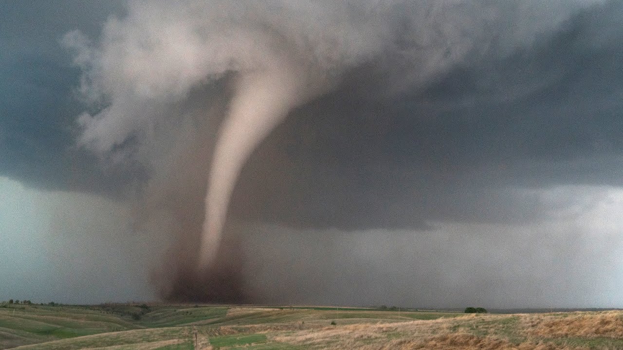 Only Actual Bookworm Can Score 16 on This Novel Quotes Quiz Tornado