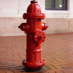 🐶 Spend a Day as a Dog to Find Out What Breed You Are Fire hydrant