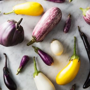 Let’s See If You Know Your Basic Science — Can You Get 20/20 on This Quiz? Eggplant