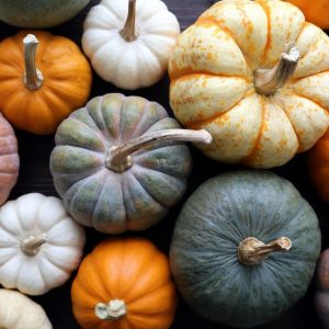 Fall Food Trivia Pumpkin