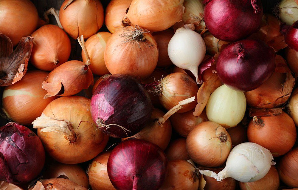 🥕 Rate Some Vegetables and We Will Know Exactly How Old You Are Onions