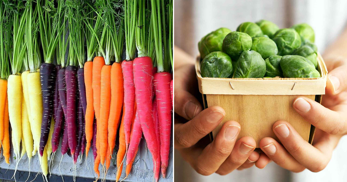 Rate Vegetables & We Will Know Exactly Your Age Quiz