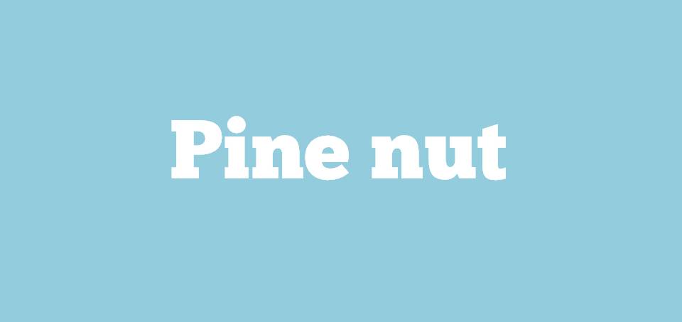 🌰 Most People Can’t Identify 12 of These Nuts — Can You? Slide15