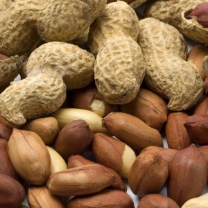 🌰 Most People Can’t Identify 12 of These Nuts — Can You? 