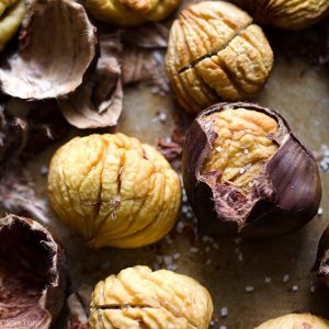 🌰 Most People Can’t Identify 12 of These Nuts — Can You? 