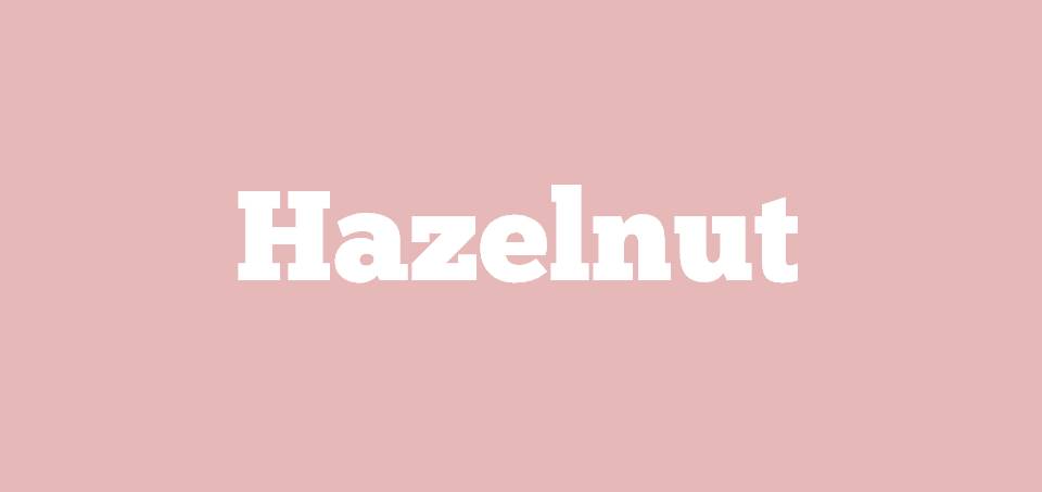 🌰 Most People Can’t Identify 12 of These Nuts — Can You? Hazelnut