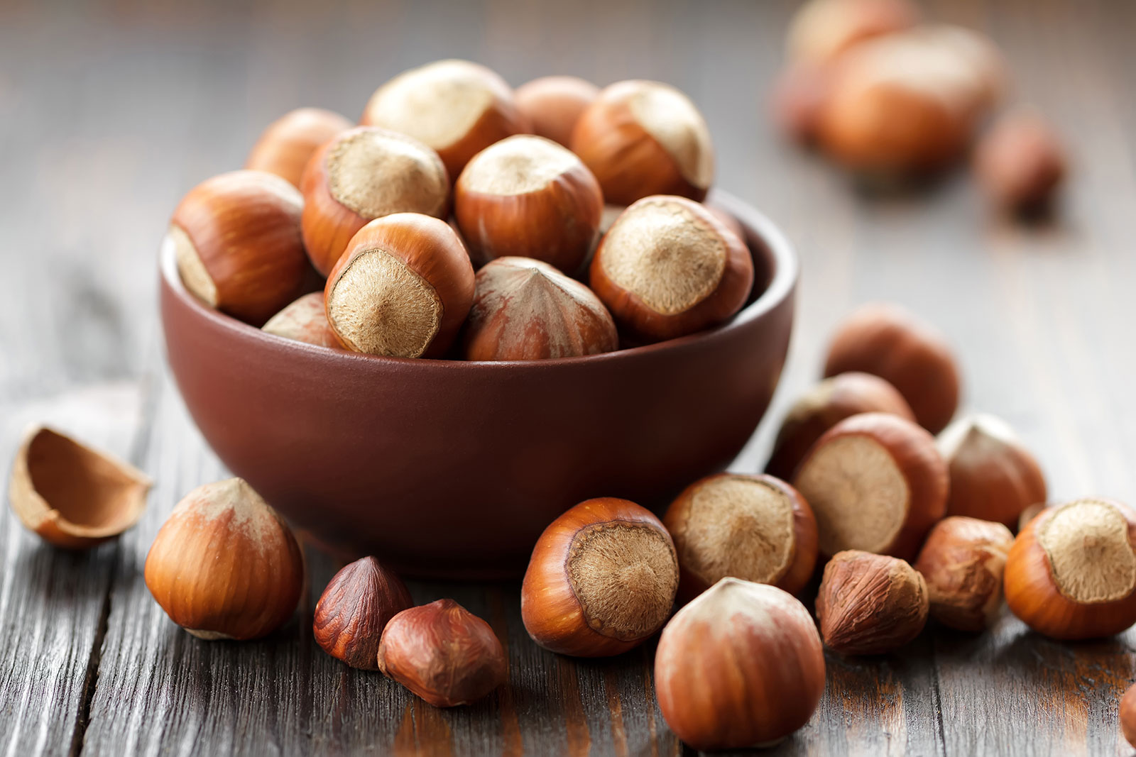 🥜 If You’ve Eaten 12/18 of These, You’re Nuts About Nuts Hazelnuts