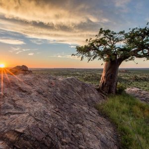 🗺 These 15 Around-The-World Geography Questions Will Reveal How Smart You Really Are Botswana