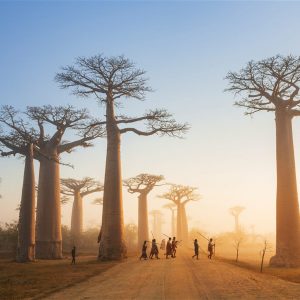 📚 If You Can’t Pass This Quiz, You Need to Repeat High School Madagascar