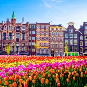 This 25-Question Mixed Trivia Quiz Was Made to Prevent You from Passing. Can You Beat the Odds? Netherlands