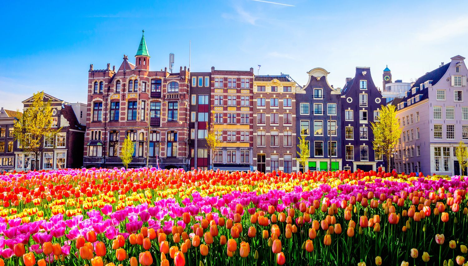 Capitals Of Europe Quiz Netherlands