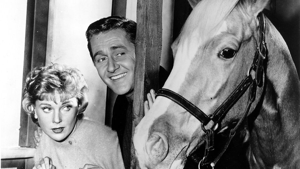 If You’ve Watched 18/24 of These TV Shows, Then You Qualify for a Senior Discount 24 Mister Ed