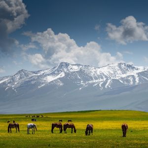Pick a Bunch of Countries You’d Love to Visit and I’ll Describe Your Personality in One Word Kyrgyzstan