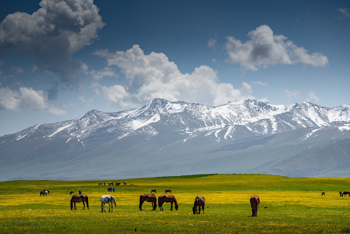 If You Know Where 17/24 of These Obscure Countries Are, You’re a Geography Whiz Kyrgyzstan