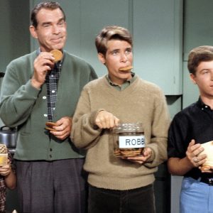 The Hardest Game of “Which Must Go” For Anyone Who Loves Classic TV My Three Sons