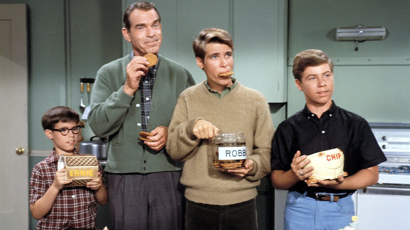 Here Are 34 Classic Sitcoms — How Many Have You Actually Seen? My Three Sons