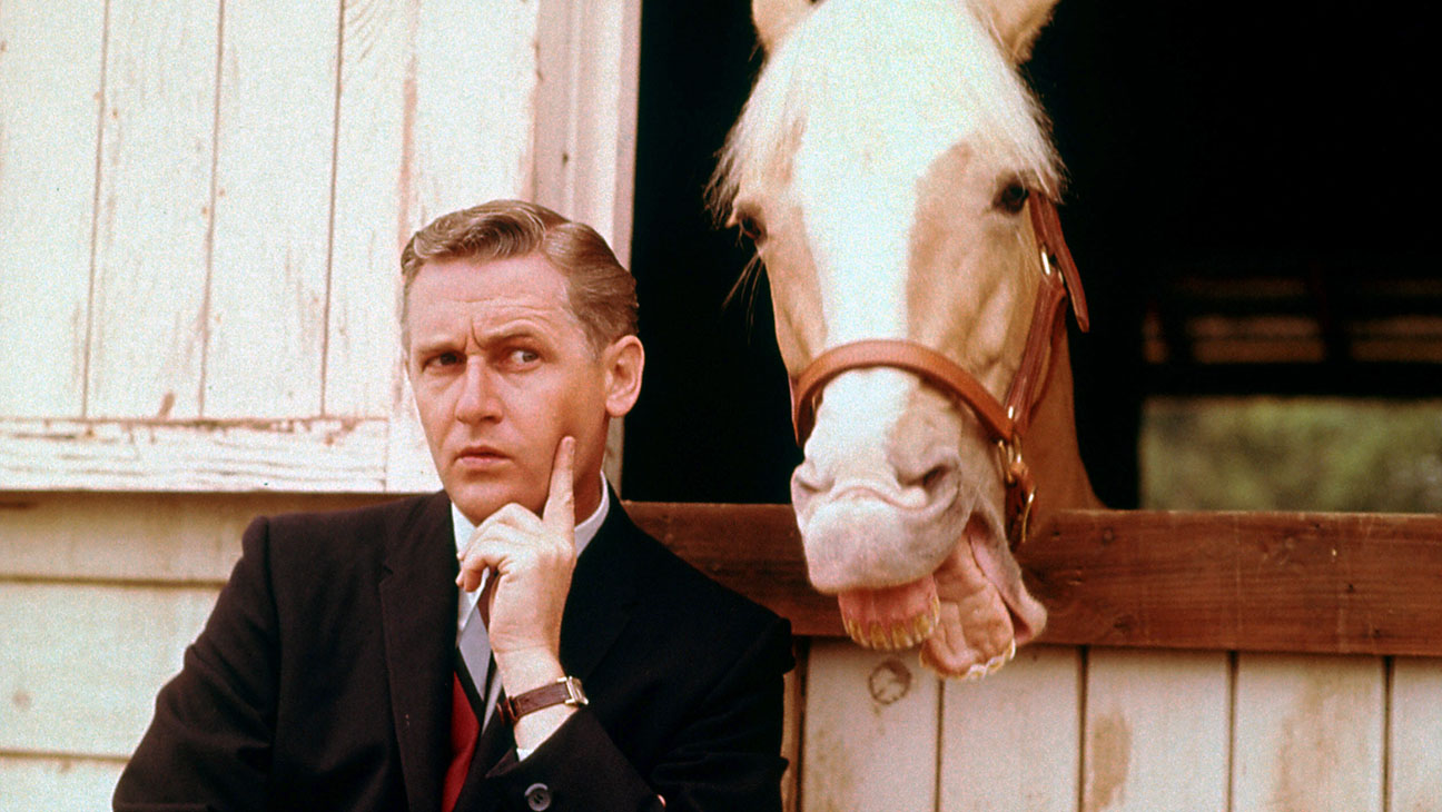Here Are 34 Classic Sitcoms — How Many Have You Actually Seen? Mister Ed