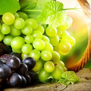 June Trivia Quiz Grapes