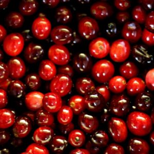 ABC General Knowledge Trivia Cranberry