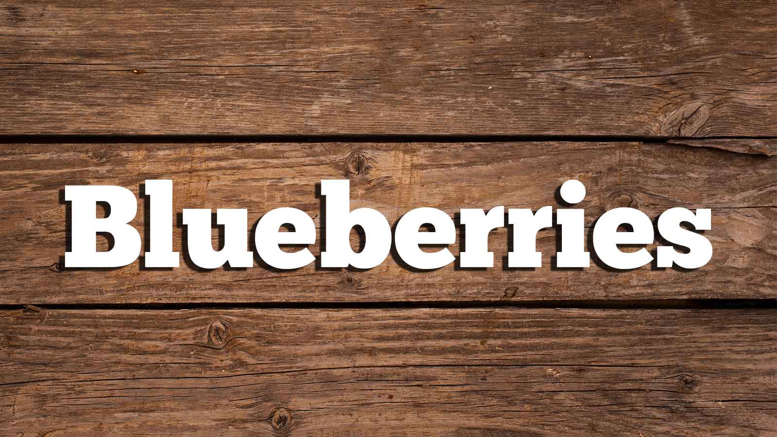 Text Blueberries