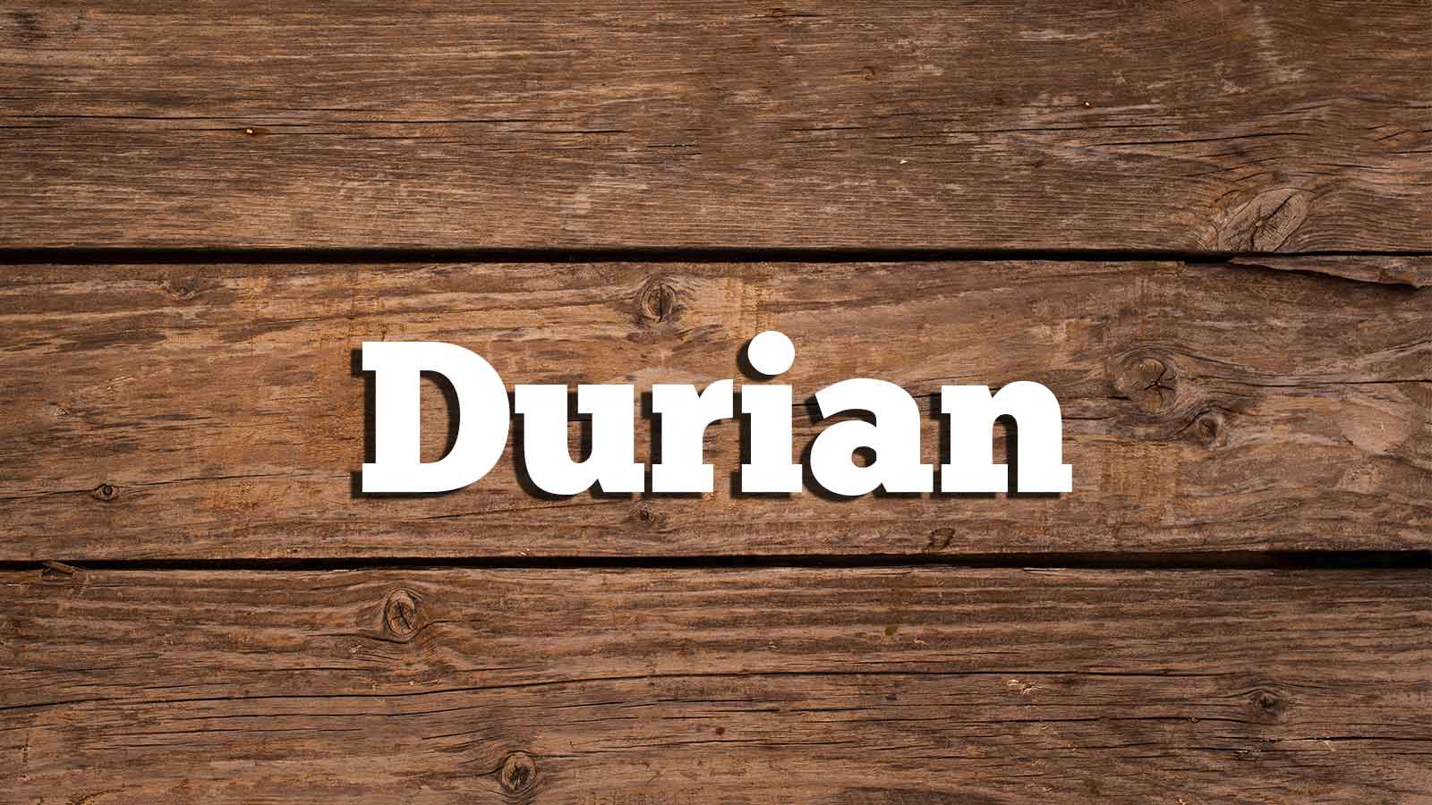 Text Durian