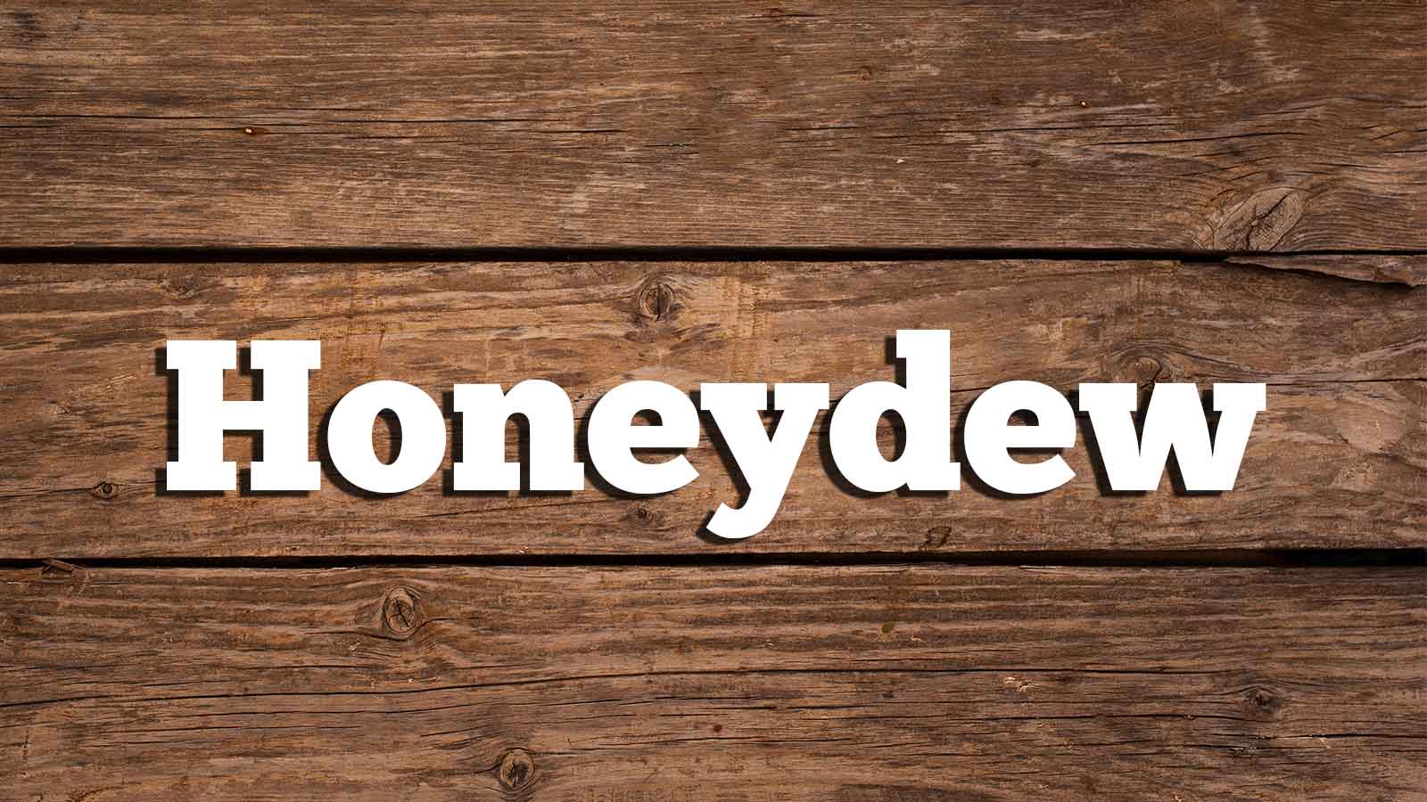 Text Honeydew