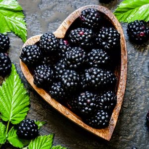 Fruit Trivia Quiz Blackberry