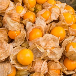 I'm Sure You Can't Identify At Least 15 Of These Berries Quiz 