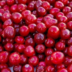 Can I Guess You're Thankful For This Thanksgiving? Quiz Cranberry